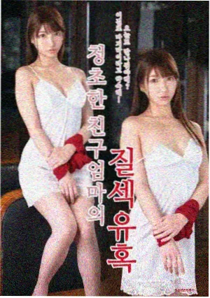 少女革命 剧场版分镜与原画集 封面